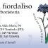 IL FIORDALISO