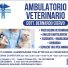 AMBULATORIO VETERINARIO DOTT. BERNARDO CIERVO