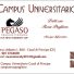 CAMPUS UNIVERSITARIO