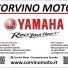 CORVINO MOTO