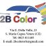 2B COLOR