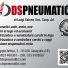 DS PNEUMATICI