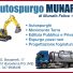 AUTOSPURGO MUNAFÒ