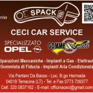 CECI CAR SERVICE