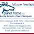 PLANET HORSE