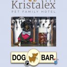 KRISTALEX PET FAMILY HOTEL - DOG BAR