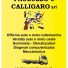 PAULUZZO E CALLIGARO
