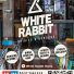 WHITE RABBIT