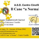 A.S.D. CENTRO CINOFILO IL CANE "A NORMA"