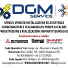 DGM SERVICE