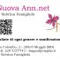 NUOVA ANN.NET