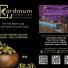 KARDMUM JUNCTION