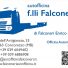 AUTOFFICINA F.LLI FALCONERI