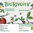 BIORIVOIRA
