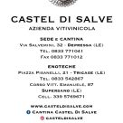 CASTEL DI SALVE