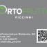 ORTOFRUTTA PICCINNI