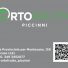 ORTOFRUTTA PICCINNI