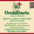 ORCHI DARIO