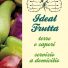 IDEAL FRUTTA