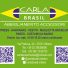 CARLA BRASIL