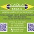 CARLA BRASIL