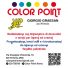 COLOR POINT