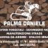 PALMA DANIELE