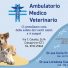 AMBULATORIO MEDICO VETERINARIO