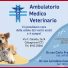 AMBULATORIO MEDICO VETERINARIO