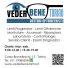 VEDER BENE TORINO