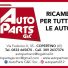 AUTO PARTS