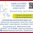 AMBULATORIO VETERINARIO ASSOCIATO CONTI - PORRETTA