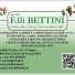 F.LLI BETTINI