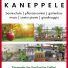 KANEPPELE