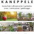KANEPPELE