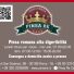 PINSA RE