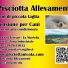 PISCIOTTA ALLEVAMENTI