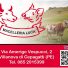 MACELLERIA LUCA