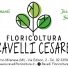 FLORICOLTURA RAVELLI CESARE