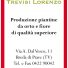 TREVISI LORENZO