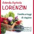 AZIENDA AGRICOLA LORENZIN