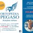 ORTOPEDIA PEGASO