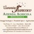 IL CAMMINO DI FRANCESCO