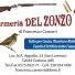 ARMERIA DEL ZONZO