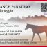 RANCH PARADISO
