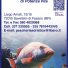 PESCHERIA ADRIATICA