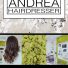 ANDREA HAIRDRESSER