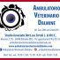 AMBULATORIO VETERINARIO DALMINE