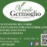 VERDE GERMOGLIO