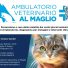 AMBULATORIO VETERINARIO AL MAGLIO